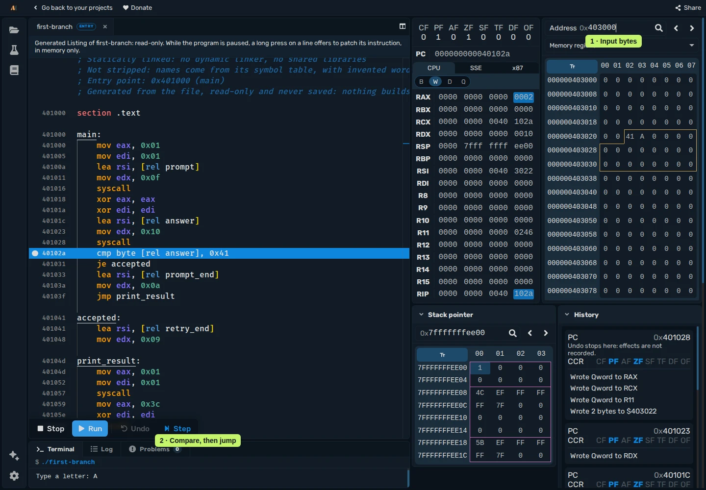 The executable paused before cmp, with input byte 41 in Memory and the processor flags above PC in Registers.